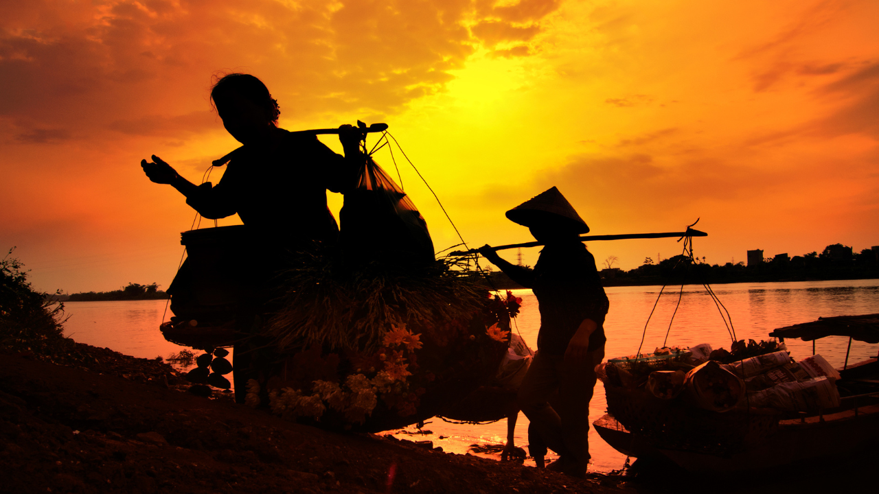ảnh bài viết